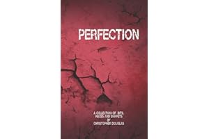 Perfection: A Collection of Bits, Pieces and Snippets