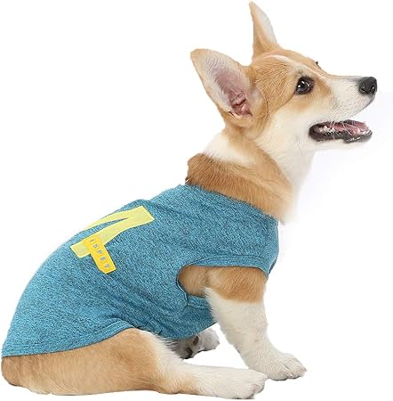 designer dog shirts