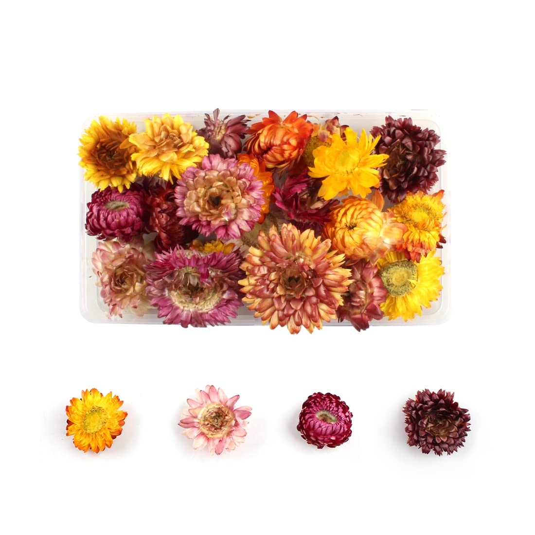 Tomedeks Natural Dried Flowers Dried Embossed DIY Preserved Flowers Resin Jewelry Nails Crafts Scrapbooking Floral Decor (D)