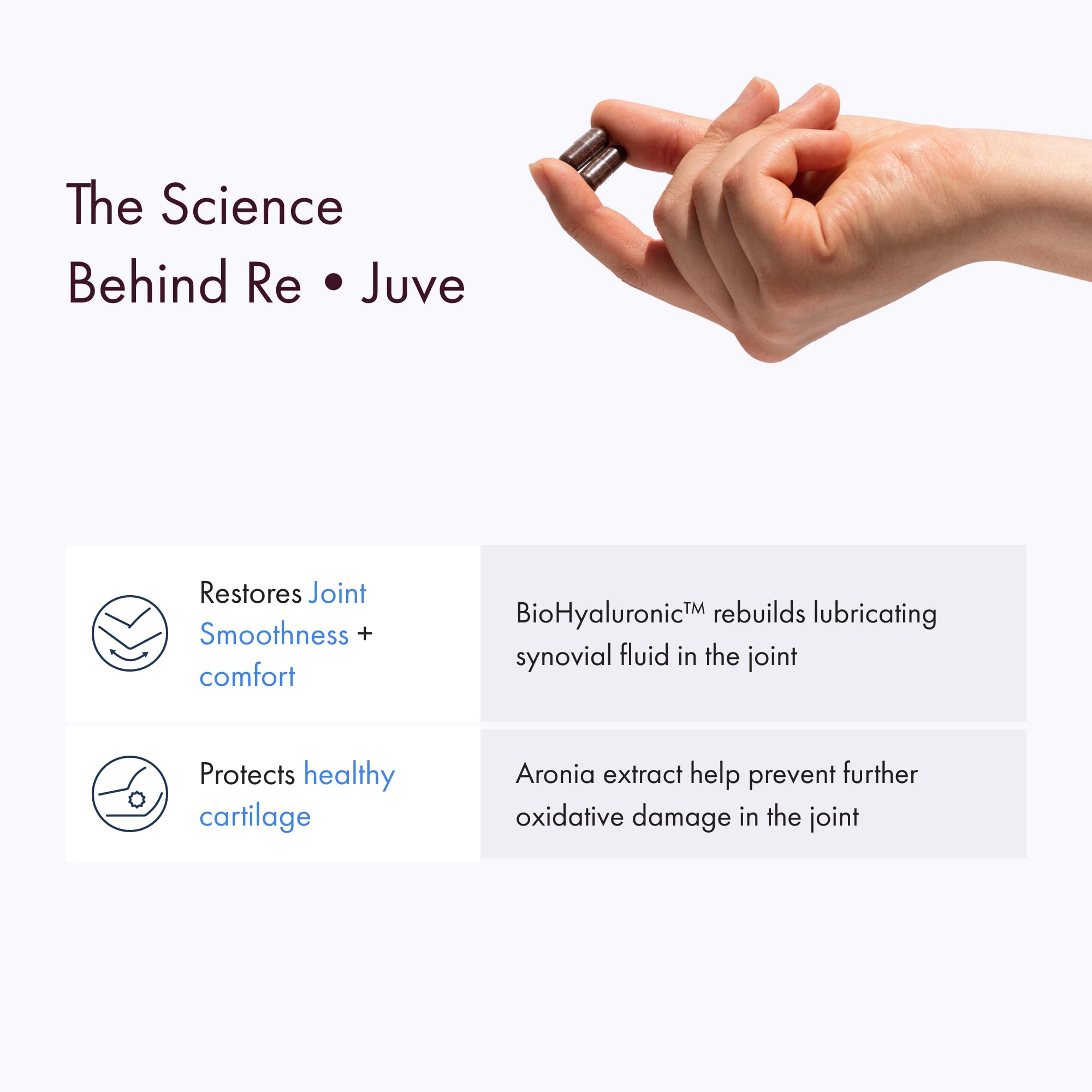 Synchro - Rejuve Joint Support Supplement, Non-GMO Cartilage and Joint Support, Joint Supplement with Hyaluronic Acid and Anthocyanins, 60 Joint Health Supplement Capsules