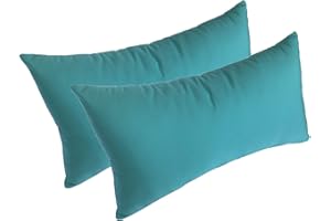 Comfort Classics Set of 2-22x12x4 Sunbrella Indoor/Outdoor Fabrics Lumbar Pillows in Aruba Inc.