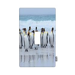 Pznen Penguin 1-Gang Toggle Wall Plate Standard