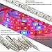 LED Strip Light, Topled Light Plant Grow Light with Power Adapter, 5050 SMD Waterproof Full Spectrum Red Blue 4:1 Rope Lamp for Aquarium Greenhouse Hydroponic Plant Veg Garden Flowers (5 M)