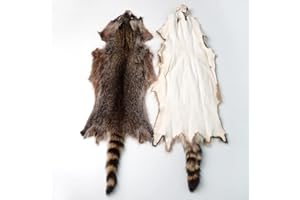 ZSCYD-YINGDA1992 1pcs Natural Tanned American Raccoon Fur Hide Whole Skin Pelts with High Grade Professionally Taxidermy Crafts Sewing Leather for Coats, Hats, Clothing About L (25.6-27.6) x W (7.9-15.7) inch, Brown