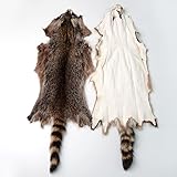 1pcs Natural Tanned American Raccoon Fur Hide Whole