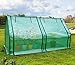 Quictent Upgraded Large Door Portable Mini Greenhouse Green Garden Hot House Grow Tent More Size (71