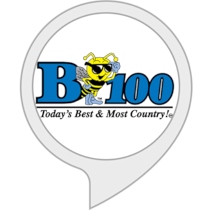 B100