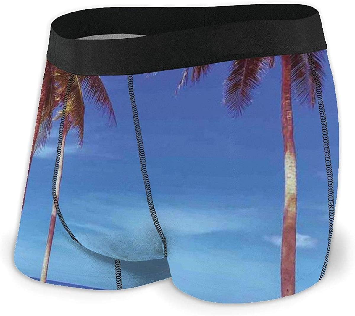 GLGFashion Men's Boxer Briefs Image of an Hammock at Summer Tropical