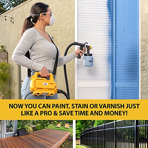 Paint Zoom Platinum Paint Sprayer plus 2 extra Paint Containers