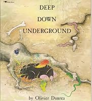 Paperback edition cover