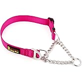 Plutus Pet Martingale Dog Collar with Stainless Steel Chain, Hot Pink, M | Reflective Adjustable Nylon, No Pull Training Collar, No Choking for Small Medium Large Dogs