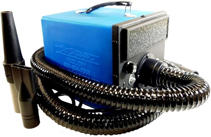 can dog eat blueberries