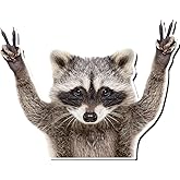 3D Victory Funny Racoon Decal Cute Car Sticker, Funny Raccoon 11.5-Inches Laptop Wall Window Bumper Sticker