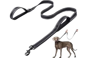 DDSColour Heavy Duty Dog Leash - 5ft 6ft Long, Double Traffic Handle Reflective - Suitable for Medium to Large Dogs - Strong,