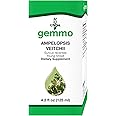 UNDA Gemmo Therapy Ampelopsis Veitchii | Boston Ivy Shoots | 4.2 fl. oz.