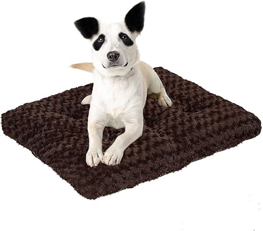 amazon dog crate mat