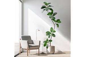 Bailikang 6ft Artificial Rubber Tree Faux Plants Indoor Faux Floor Plant Artificial Trees Indoor,Fake Plant Fake Tropical Plants,Large Floor Plants,Real Touch Rubber Tree for Home Decor