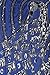 BABEYOND 20's Vintage Peacock Sequin Fringed Party Flapper Dress
