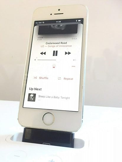 apple a1121 speaker