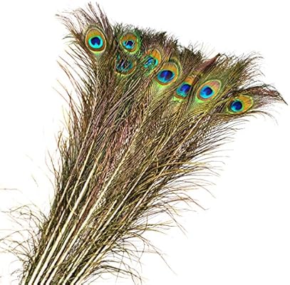 Polai 20pcs Peacock Feathers 80cm Real Feathers For Crafts Vase