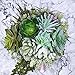 Supla Pack of 6 Assorted Artificial Succulents Plant Picks Textured Faux Succulent Pick Succulent Stems Fake Succulent Bouquet String of Pearls Succulent Faux Succulent Floral Arrangement Accent
