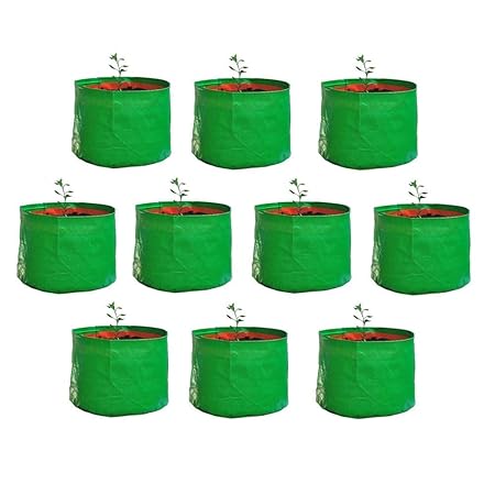 Live with Alive Plastic Grow Bags, Set of 10