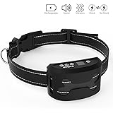 Collier anti fugue pour petit chien Collier anti fugue pour petit chien