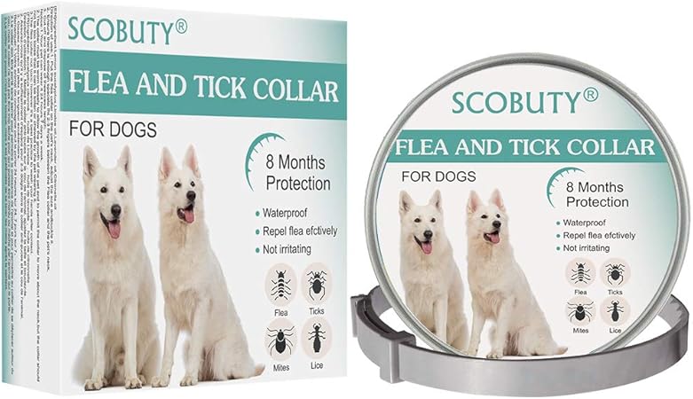 dog flea collar amazon