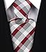 Scott Allan Men's Stripe Necktie