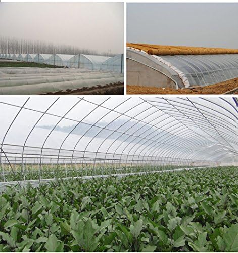 OriginA Greenhouse Clear Plastic Film UV Resistant Polyethylene Covering for Grow Tunnel and Garden Plant Cover, 12-Feet Width by 25-Feet Length
