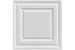 Noooza 2ft x 2ft Drop Ceiling Tiles, White Icon Relief Ceiling Tiles 24 x 24in.Waterproof, Washable and Fire-Rated - Reusable - High-Grade PVC to Prevent Breakage Cover 48 Sq. Ft, Pack of 12 Tiles