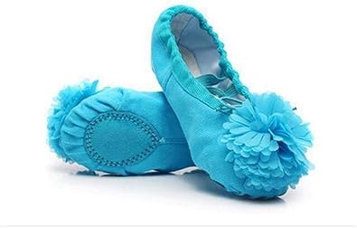baby blue ballet shoes