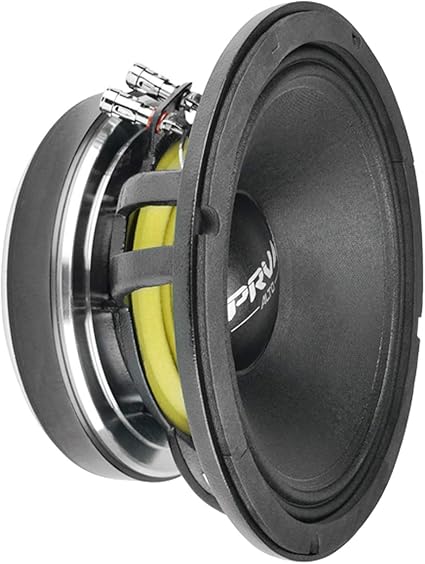 prv 10 inch speaker