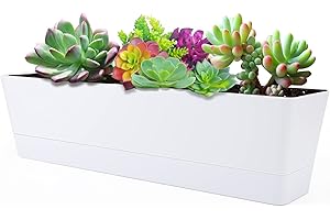 Large Window Boxes Planters, GREANER 1PCS 16x3.8 Inch White Vegetable Herb Planters with Tray, Indoor Succulent Cactus Flower