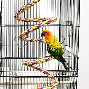 ASOCEA Uccello della Corda Bungee Giocattolo con Campana Cotone Pappagallo Spirale Swing Arrampicata Gabbia in Piedi… - immagine 7