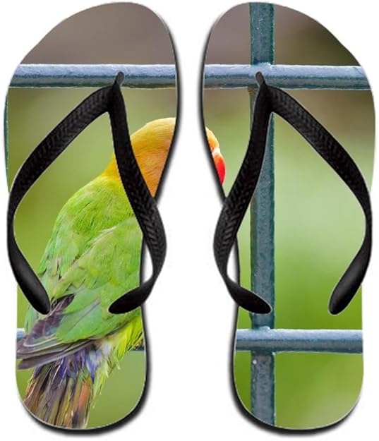 animal flip flops for men