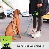 Taglory Rope Dog Lead with Padded Handle 1.0 cm 1.5 m Reflective Turquoise view 2