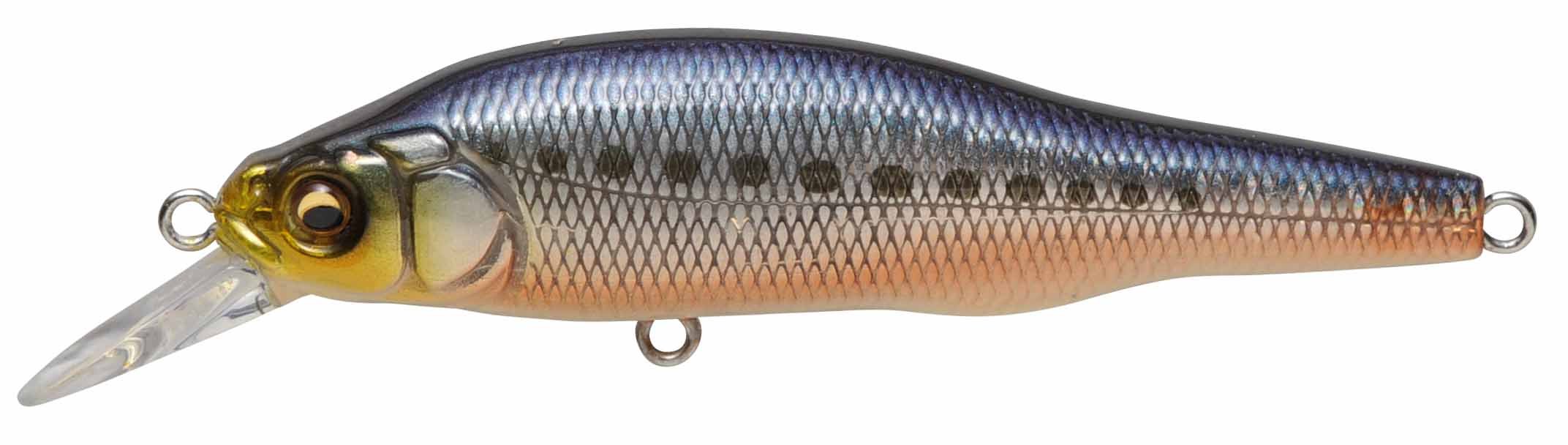 Megabass X-80 SW Slow Sinking Lure GG Akahara Iwashi (1744)