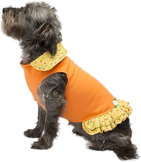 pretty dog dresses