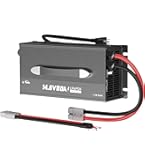 Amazon.com: LiTime 12V 60A Lithium Battery Charger for LiFePO4