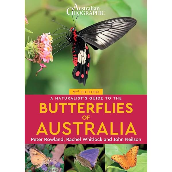 Butterflies of West Malaysia & Singapore: Fleming, W. A
