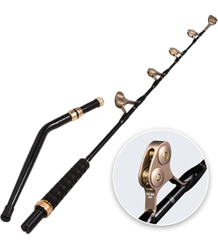 Amazon.com : Terez BW Full Roller UNI Butt : Sports & Outdoors