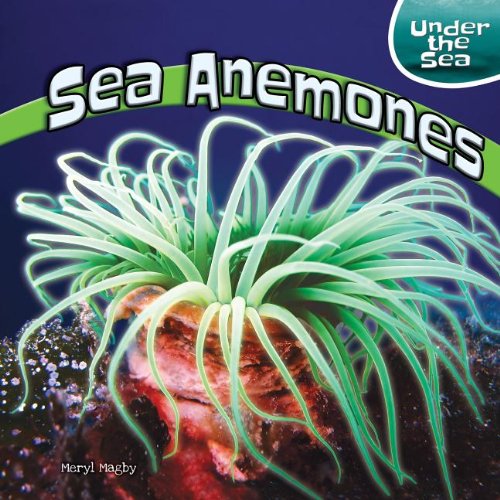 Sea Anemones (Under the Sea (Powerkids))