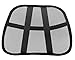 Cool Vent Mesh Back Lumbar Support For Office Chair, Car, and Other