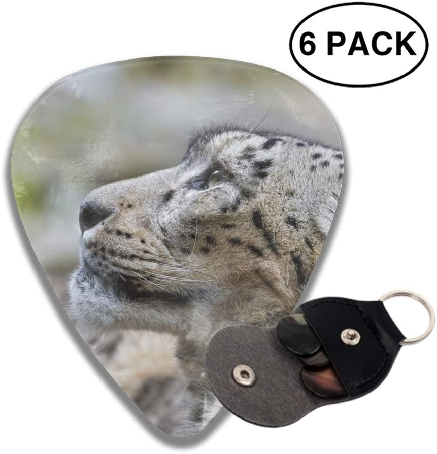 mini snow leopard cat