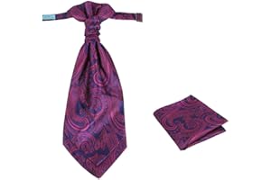 Epoint Cravat Necktie For Party Silk Pretied Ascot Cravat Tie 12 Inch Clip-On Adjustable