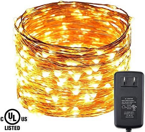 Ruichen Led String Lights Plug in, 99ft 300 Super Bright LEDs Copper Wire Light String Adapter Powered Christmas String Lights for Garden,Patio, Weddings, Parties(Warm white)