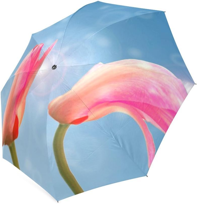 Tulip Classic Umbrella Windproof Automatic Compact Rain Travel Umbrella,Lightweight