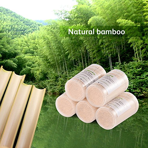 Bamboo Toothpicks 3.5 Inch with Clear Cylinder Holder. Ornate Kokeshi Style Skewers for Party, Appetizer, Olive, Barbecue, Fruit and Teeth Cleaning. 1020 PCS (3 Packs of 340) - Thumbnail 4