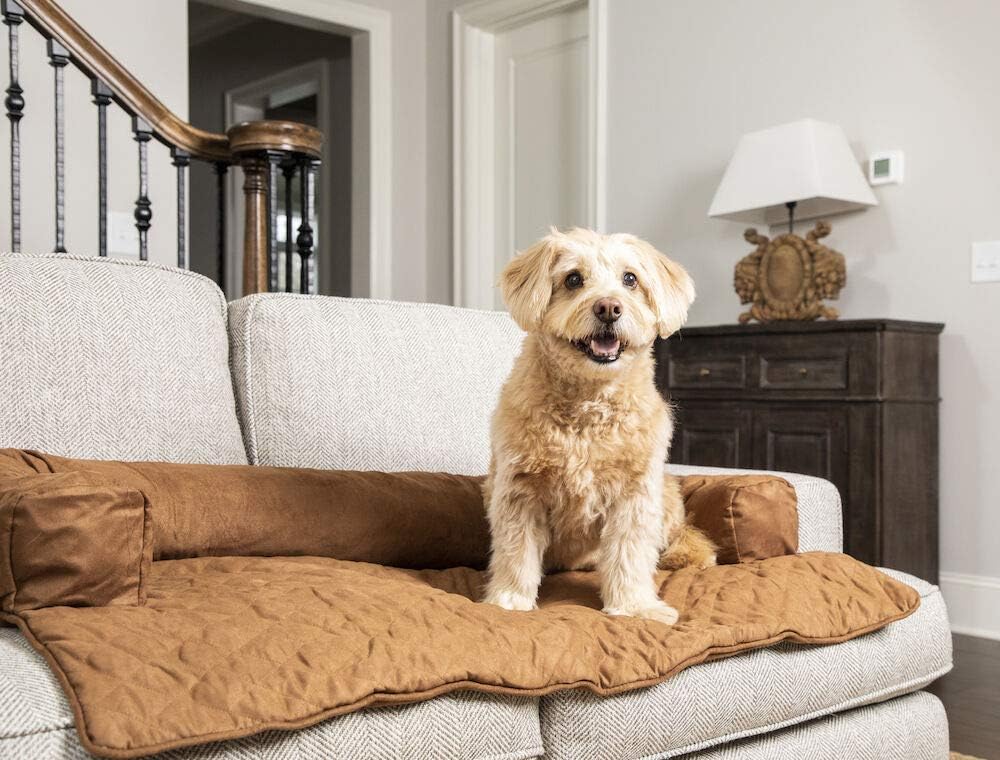 solvit bolstered pet bed protector